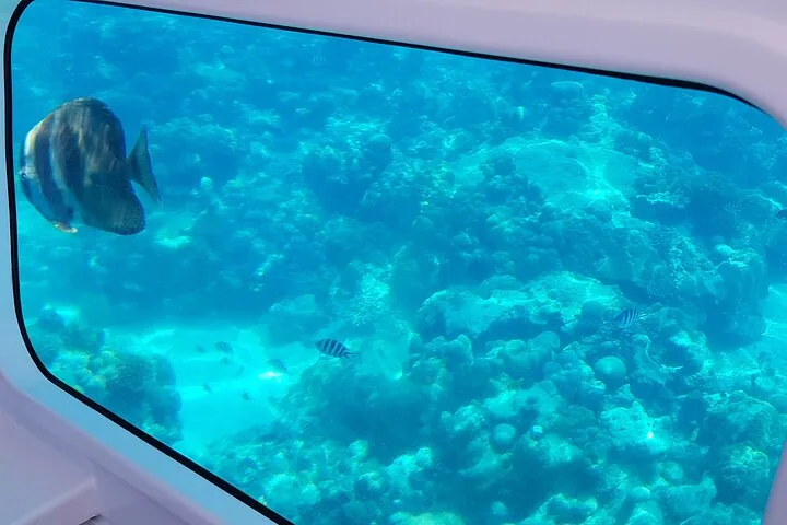 Semi-sous-marin dans le parc de Sainte-Anne
