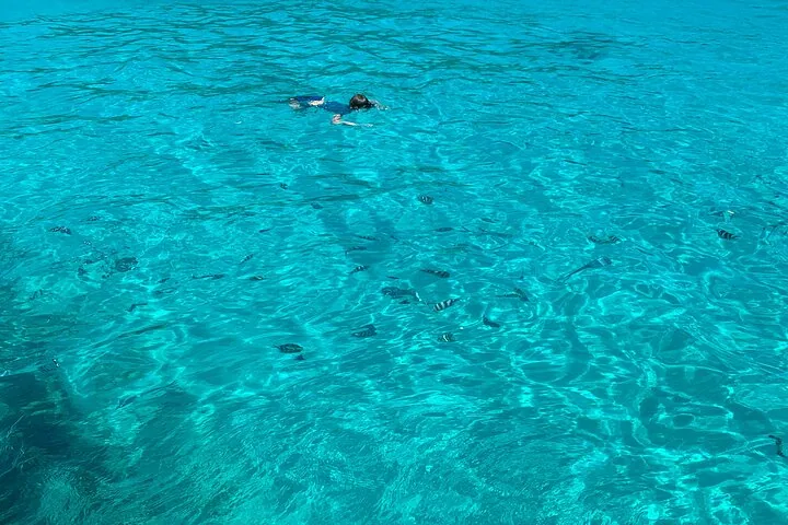 Reef Safari : snorkeling au parc de Baie Ternay